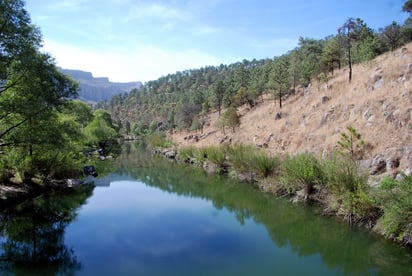 Entre las condicionantes destacan la realización de un rescate y reubicación de fauna silvestre.