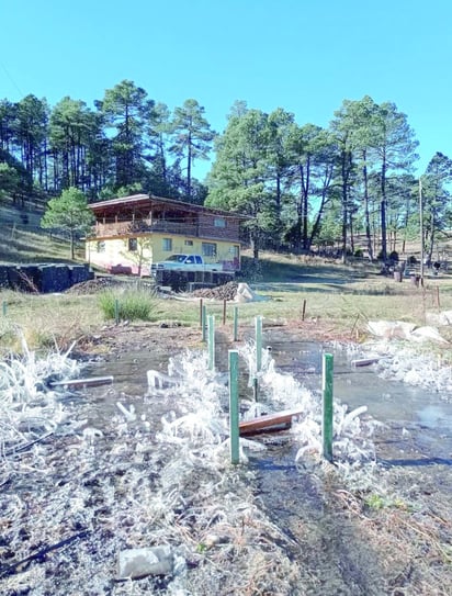 Congelado. Todos los lugares donde se concentra agua se congelaron en Guanaceví.