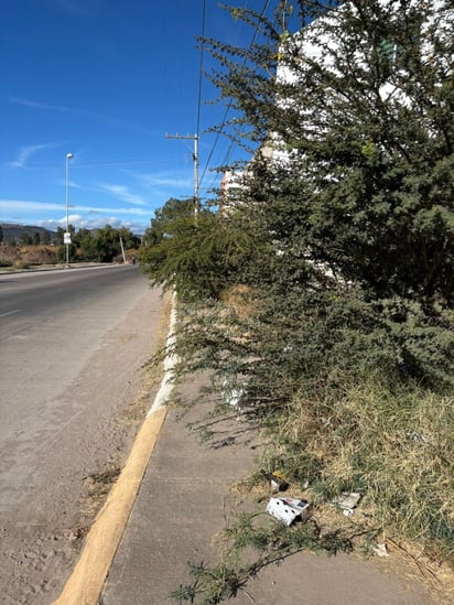 El llamado a las autoridades de Servicios Públicos es a podar la maleza que se ha acumulado.