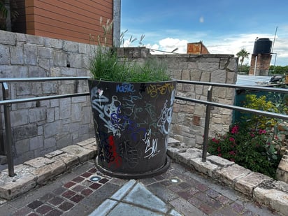 A plena vista.- Bote con una planta que ha sido intervenido con pintura de aparentemente marcador, con lo que afecta la imagen del entorno.