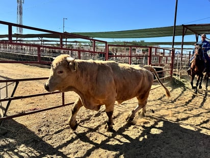 Cercano. Alerta que los casos se registren cada vez más cerca de la frontera.
