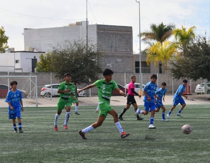 La Comarca Lagunera fue sede del inicio de actividades para los felinos duranguenses.