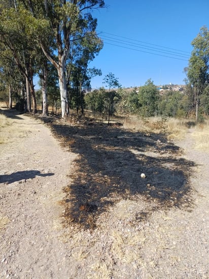 Quemas. Se reportó la quema de un pastizal que puso en riesgo más áreas.