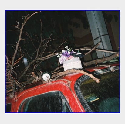 La pregunta no es cuántas veces se observan estas imágenes, sino cuántas veces es necesario hacerlo para reconocer lo que es.