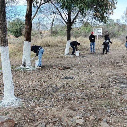 Encalado. Los alumnos también pintaron algunos troncos de los árboles para protección.