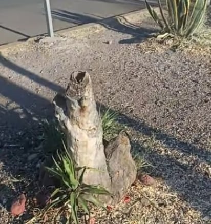 Derribo nocturno. Usuarios consideran que las autoridades no actuaron de manera correcta al hacer todo el movimiento por la noche.