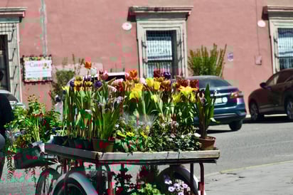 Sin regulaciones. Entre algunos vendedores ambulantes, es frecuente ver su negatividad ante una regularización.










