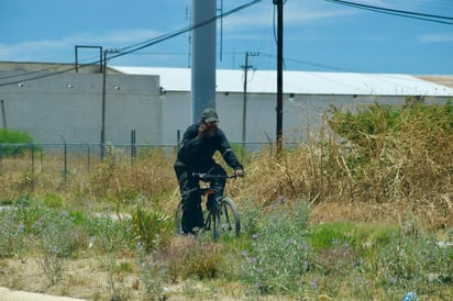 Diario. Pese a que, todos los días, diferentes trabajadores utilizan las ciclovías que hay en la capital, las autoridades no se han encargado de darle el mantenimiento adecuado.










