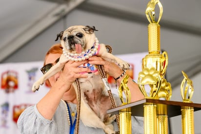 (Imágen de Jinny Lu en compañía de su dueña, Michelle Grady, recibiendo el trofeo del evento. Redes sociales)