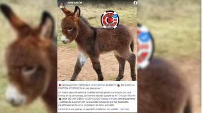 Fotografía: Código Rojo Laguna, Facebook ARSI SALÓN