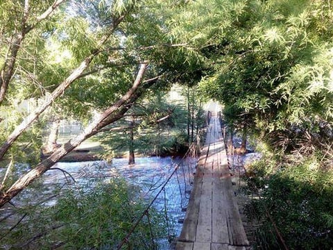Los paisajes a lo largo de este r&iacute;o son hermosos.