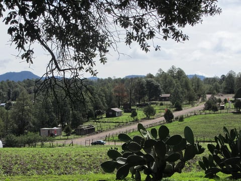 Una mañana en esta comunidad cercana a El Salto.