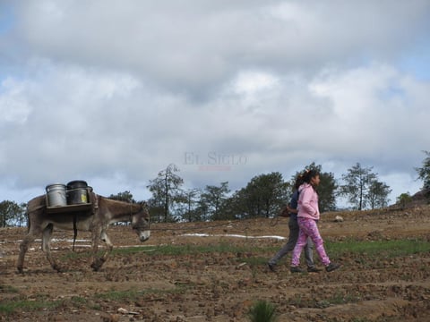 Niños de la comunidad trabajan para la familia.