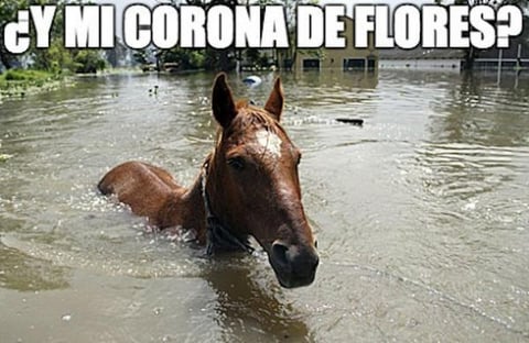 En la segunda fecha, el domingo, la lluvia volvi&oacute; a hacerse presente sobre el Aut&oacute;dromo Hermanos Rodr&iacute;guez.