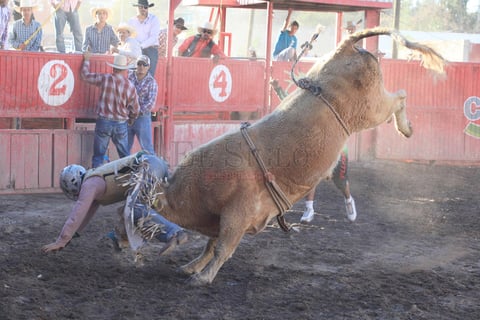 El ruedo fue organizado con motivo de homenaje a Crist&oacute;bal Hern&aacute;ndez