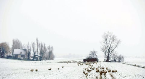 La fortaleza de Hwaseong est&aacute; cubierto de nieve en Suwon, provincia de Gyeonggi-do, Corea del Sur.
