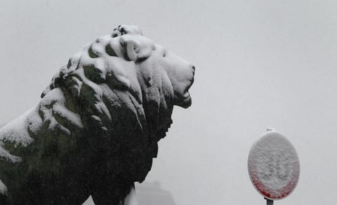 Una figura de un le&oacute;n est&aacute; cubierta de nieve junto a un letrero en el Puente de los Leones en W&uuml;rzburg, Alemania