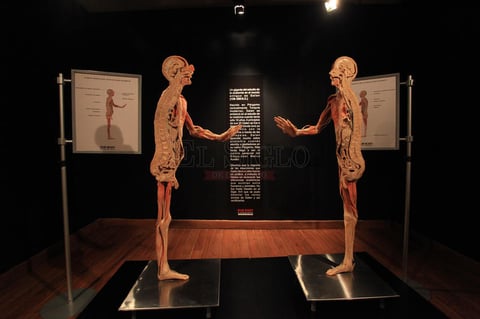 &lsquo;Our Body, el Universo dentro&rsquo;, permanecer&aacute; abierta al p&uacute;blico de todas las edades en el Museo Francisco Villa hasta el 22 de marzo de 2015.