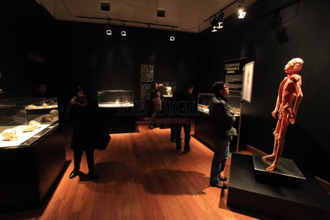 &lsquo;Our body&rsquo; recibi&oacute; a los primeros visitantes poco antes de las 20:00 horas.