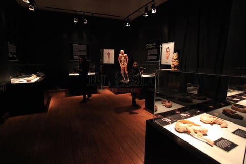 Considerada como la exposici&oacute;n m&aacute;s visitada en los &uacute;ltimos 30 a&ntilde;os.