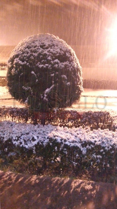 Alerta por nevada en la Sierra.