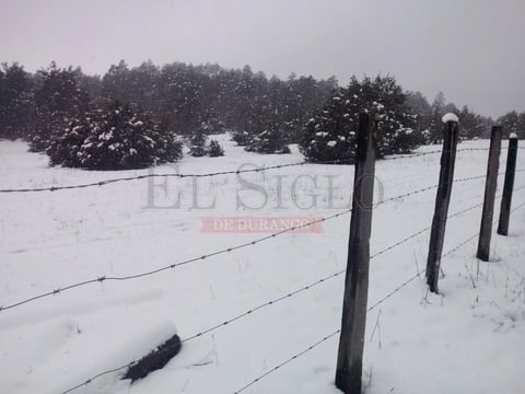 Así luce el municipio de Guanaceví. La foto es a 15 minutos de la cabecera municipal.