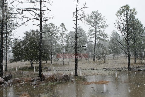 Los estragos de las bajas temperaturas han afectados hasta a 8 mil personas.
