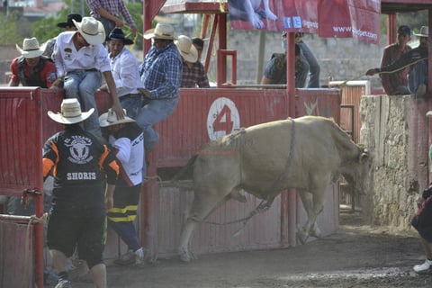 Esta prueba consiste en que las amazonas deben de rodear tres barriles, puestos sobre la arena, dos por la derecha y uno por la izquierda o viceversa, seg&uacute;n sea la decisi&oacute;n de la barrilera.