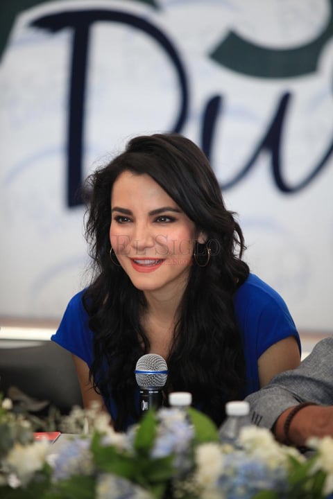 Martha Higareda reconoci&oacute; que ella ha tratado de incursionar en diferentes ramos de la industria, a fin de crear nuevos proyectos y abrir espacios de expresi&oacute;n.