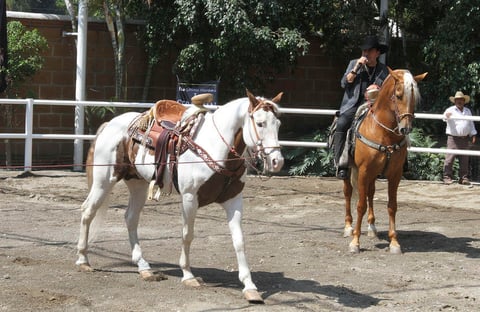 Con m&aacute;s de 35 &aacute;lbumes y premios que incluyeron cinco Grammy y siete Latin Grammy, se destac&oacute; como compositor y productor.