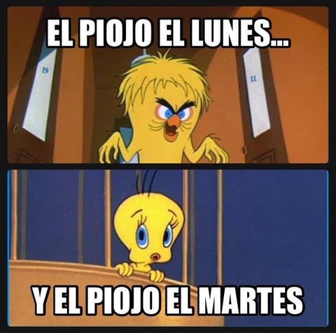 Le gan&oacute; la adrenalina y est&aacute; fuera.