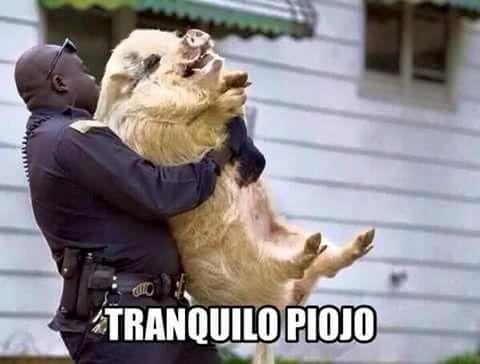 Nadie lo pudo controlar.