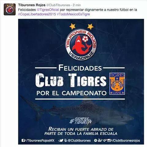 Veracruz cometi&oacute; el error, ya cre&iacute;a campe&oacute;n a Tigres.