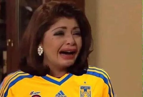 La afici&oacute;n de Tigres se encuentra triste.