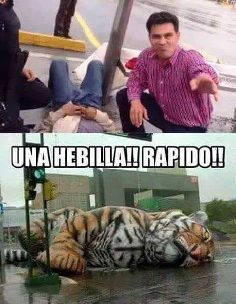 Ni el 'Pato' pudo ayudar a rescatar a Tigres.