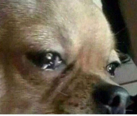 En su mayor&iacute;a, los usuarios han lamentado el final del programa.