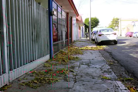 La imagen parece oto&ntilde;al, dado que las hojas de &aacute;rboles alcanzaron a ser desprendidas por el viento, aunque ya en invierno.