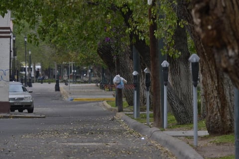 Las ciudad estaba m&aacute;s vac&iacute;a que nunca: en algunas c&eacute;ntricas calles, ten&iacute;an que esperarse varios minutos para encontrarse un veh&iacute;culo, mientras que en ciertos andadores peatonales, la &uacute;nica presencia humana era la del reportero gr&aacute;fico que capt&oacute; las im&aacute;genes.