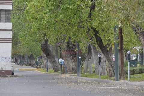 No fue sino hasta entrada la tarde que comenz&oacute; a verse gente paseando por andadores peatonales.