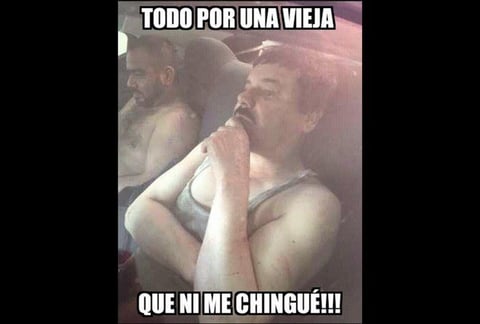 Tras revelarse el intercambio de mensajes entre la actriz y el capo, las burlas no se han hecho esperar.