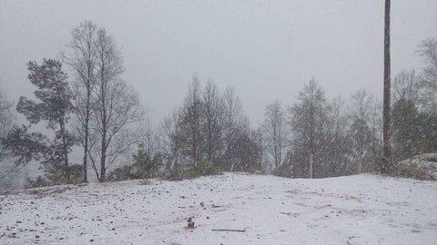 El municipio de Tamazula se tiñó completamente de blanco.