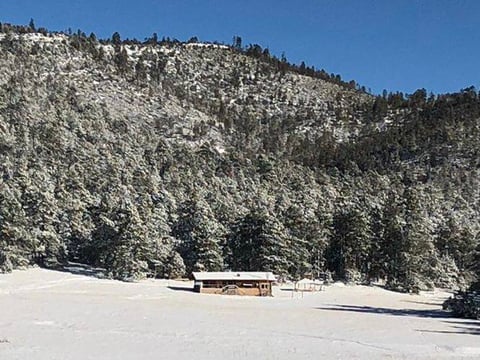 (Vía Twitter: @LicSilvaFranco)