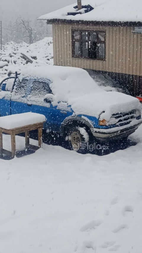 Este miércoles cerca de las 14:00 horas se reportó la caída de nieve en La Rosilla, localidad de Guanaceví, Durango.