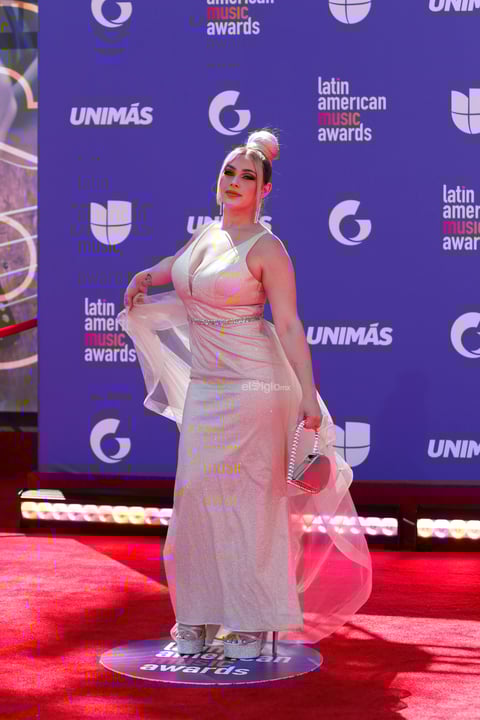 Las nominaciones de este año, en el que parten como favoritos Bad Bunny, Becky G y Daddy Yankee, destacan artistas que abarcan todos los géneros de la música latina dentro de 26 categorías.