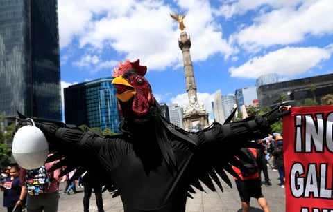 Miles de personas se manifestaron este domingo en calles de la Ciudad de México y otras ciudades para exigir un alto a la violencia contra los animales ante los cada vez más frecuentes casos de maltrato y crueldad que se han reportado en el país, además de penas más severas contra quien cometa estos delitos.