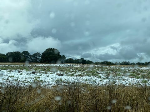 Se registró la caída de nieve en comunidades de nueve municipios de Durango, durante este miércoles, de acuerdo al reporte de la Coordinación Estatal de Protección Civil (CEPC).