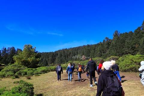 El fin de semana, la Reserva de la Biosfera Mariposa Monarca, ubicada en la sierra de Michoacán, recibió la llegada de miles de mariposas monarcas, un fenómeno que cada año anuncia el inicio de la temporada invernal en México.