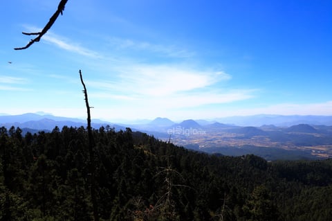 El fin de semana, la Reserva de la Biosfera Mariposa Monarca, ubicada en la sierra de Michoacán, recibió la llegada de miles de mariposas monarcas, un fenómeno que cada año anuncia el inicio de la temporada invernal en México.