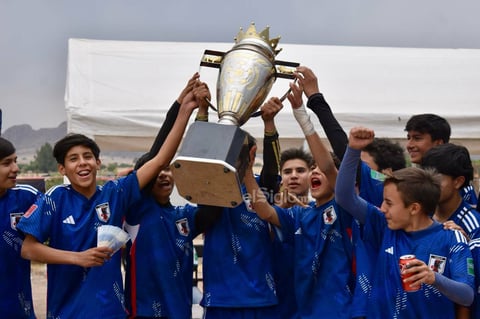 Ante el rotundo éxito que se tuvo en esta competencia, se aseguró que en un futuro cercano se llevarán acabo más torneos juveniles.