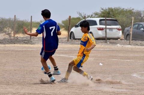 Ante el rotundo éxito que se tuvo en esta competencia, se aseguró que en un futuro cercano se llevarán acabo más torneos juveniles.